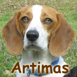Artimas