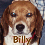 Billy