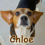 Chloe