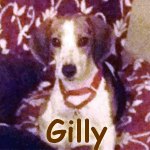 Gilly