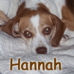 Hannah