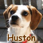 Huston