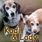 Kodi & Lady