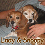 Lady & Snoopy