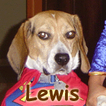 Lewis