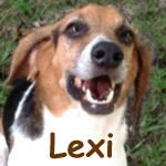 Lexi