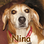 Nina
