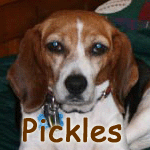 Pickles