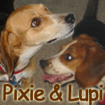 Pixie Sue & Lupi