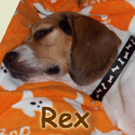 Rex
