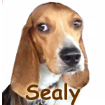 Sealy