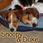 Snoopy & Duke
