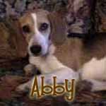 Abby