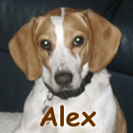 Alex