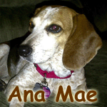 Ana Mae