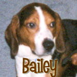 Bailey