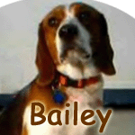 Bailey