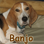 Banjo