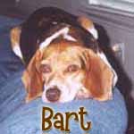 Bart