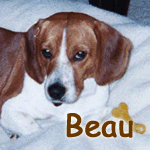 Beau