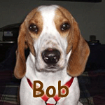 Bob