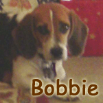 Bobbie