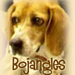 Bojangles
