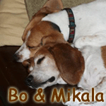 Bo & Mikala