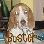 Buster