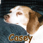 Casey