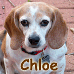Chloe