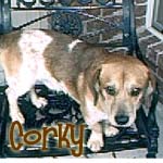 Corky