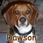 Dawson