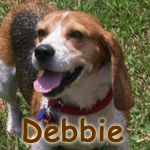 Debbie