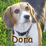 Dora