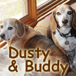 Dusty&Buddy
