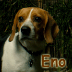 Eno
