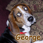 George