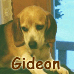 Gideon