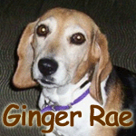 Ginger Rae