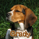 Grady