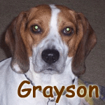 Grayson