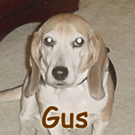 Gus