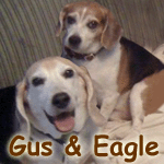 Gus & Eagle