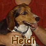 Heidi