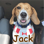 Jack