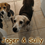 Jagar&Sully