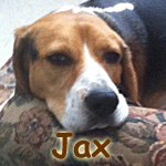 Jax