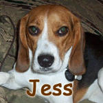 Jess