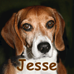 Jesse